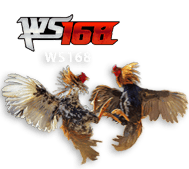 ws168 DELIMA88