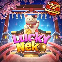 neko DELIMA88